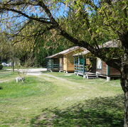 Chalets du camping de la Lône