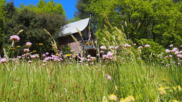 Cabane perchée La Pôlette