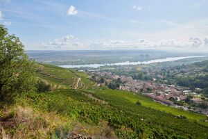 Visites et dégustations au Domaine Verzier