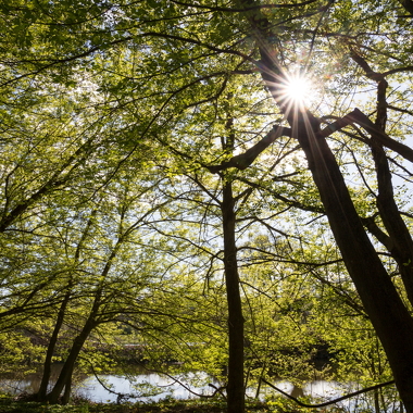 © Réserve naturelle de l'Ile de la Platière - <em>Stephane Brouchoud</em>