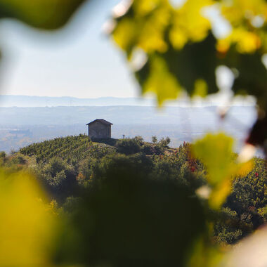 © Echappée gourmande dans les vignes du Fascinant Week-End - <em>Adelive Viviant</em>