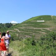 © Excursion en Côte-Rôtie - <em>Rhône Trip</em>