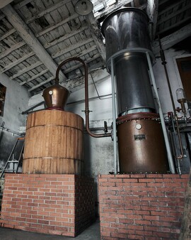 Visite d'un verger centenaire et de la distillerie Maison Colombier