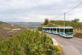 Côte-Rôtie Tour avec possibilité de dégustation (Spécial JEP)