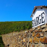 © Brunch du Fascinant Week-end au Domaine Barge - <em>Domaine Barge DR</em>