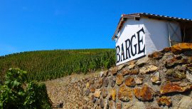 Dégustations et animations au Domaine Gilles Barge