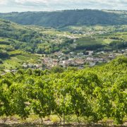 © Visites et dégustations au Domaine François Grenier - <em>Agence StoryWine</em>