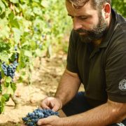 © Visites et dégustations au Domaine François Grenier - <em>Agence StoryWine</em>