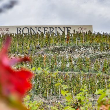 © Dégustation des Vins du Domaine de Bonserine au Caveau du Château - <em>Le Caveau du Château</em>