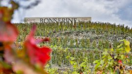 Dégustation des Vins du Domaine de Bonserine au Caveau du Château