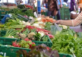 Visite et dégustation au marché de Vienne