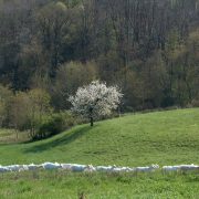 © Gîte des Pampilles - <em>Gîtes de France</em>