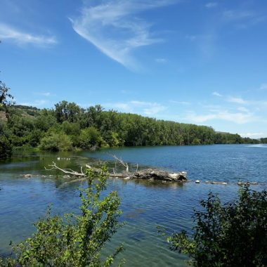 © Ile du Beurre - <em>Centre d'observation de la nature de l'Ile du Beurre</em>