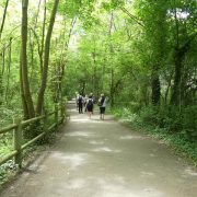 © Sentier du Castor - <em>Centre d'observation de la nature de l'Ile du Beurre</em>