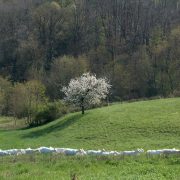 © Gîte des Pampilles - <em>Gîtes de France</em>