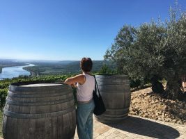 Excursion Vallée du Rhône Nord : Syrah et Viognier avec Rhône Trip