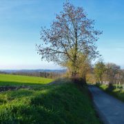 © Gite de Damary - <em>Gîtes de France</em>