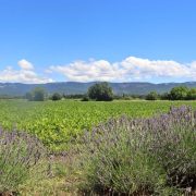 © Chambre d'hôtes Domaine De La Source Chambon - <em>Gîtes de France</em>