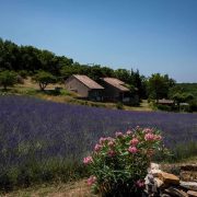 © Le cade - Village de gîtes Le Serre de Pierre - <em>Gîtes de France</em>