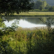 © Réserve naturelle de l'Ile de la Platière - <em>En Marge</em>