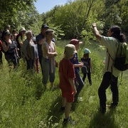 © Réserve naturelle de l'Ile de la Platière - <em>En Marge</em>