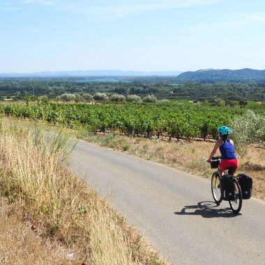 © ViaRhôna à travers le vignoble de Châteauneuf-du-Pape - <em>France Vélo Tourisme</em>