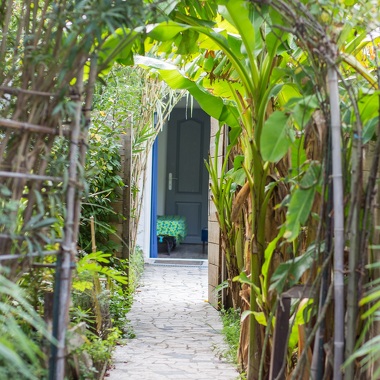 © L'Ilot Bambou - Chambres d'hôtes - <em>ilotbambou</em>