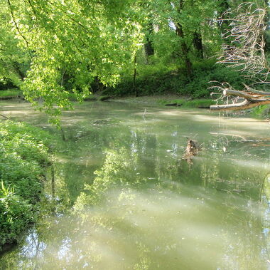 © Île de chèvre - <em>federationpecherhone</em>