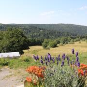 © Gîte la Petite Borie - <em>Gîtes de France</em>