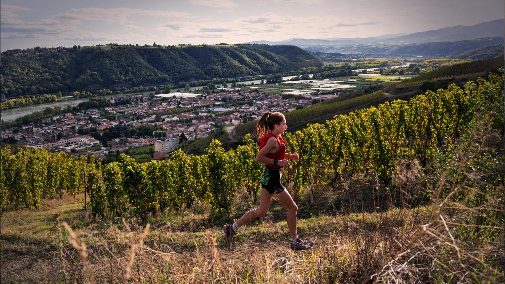 Trail en Côte-Rôtie