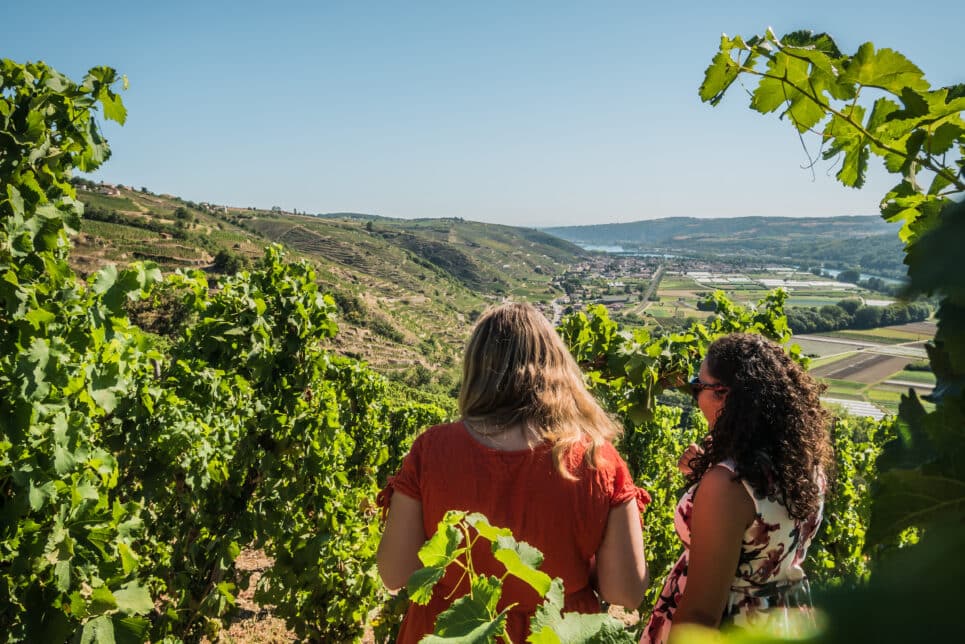 Jeunes femmes en balade dans les vignes et profitant du point de vue sur le vignoble de Côte-Rôtie