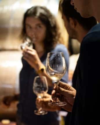 Dégustation de vin dans une cave viticole